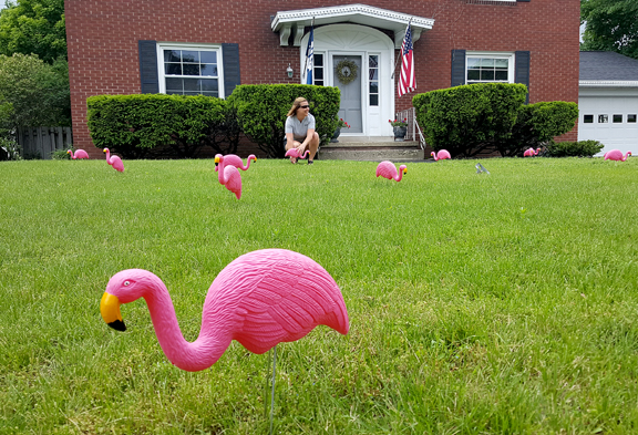 A good flocking | News, Sports, Jobs - The Alpena News